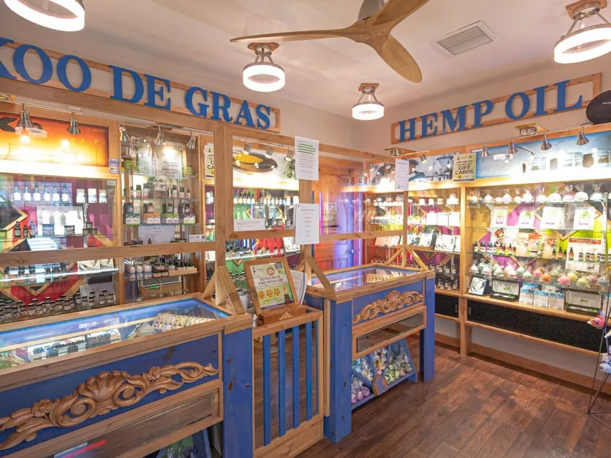 Koodegras - Sandy featured image